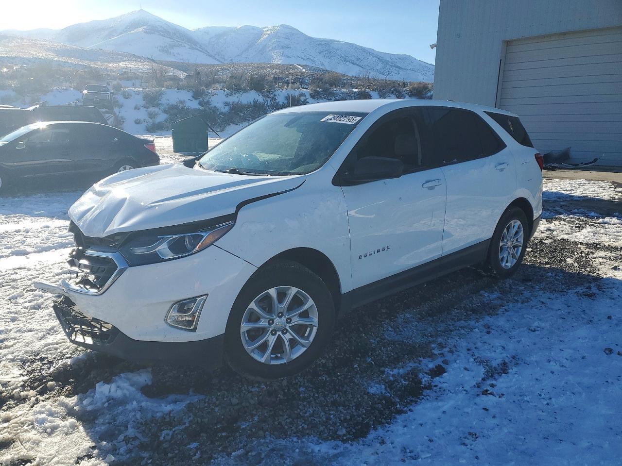 2019 Chevrolet Equinox Ls - zdjęcie główne