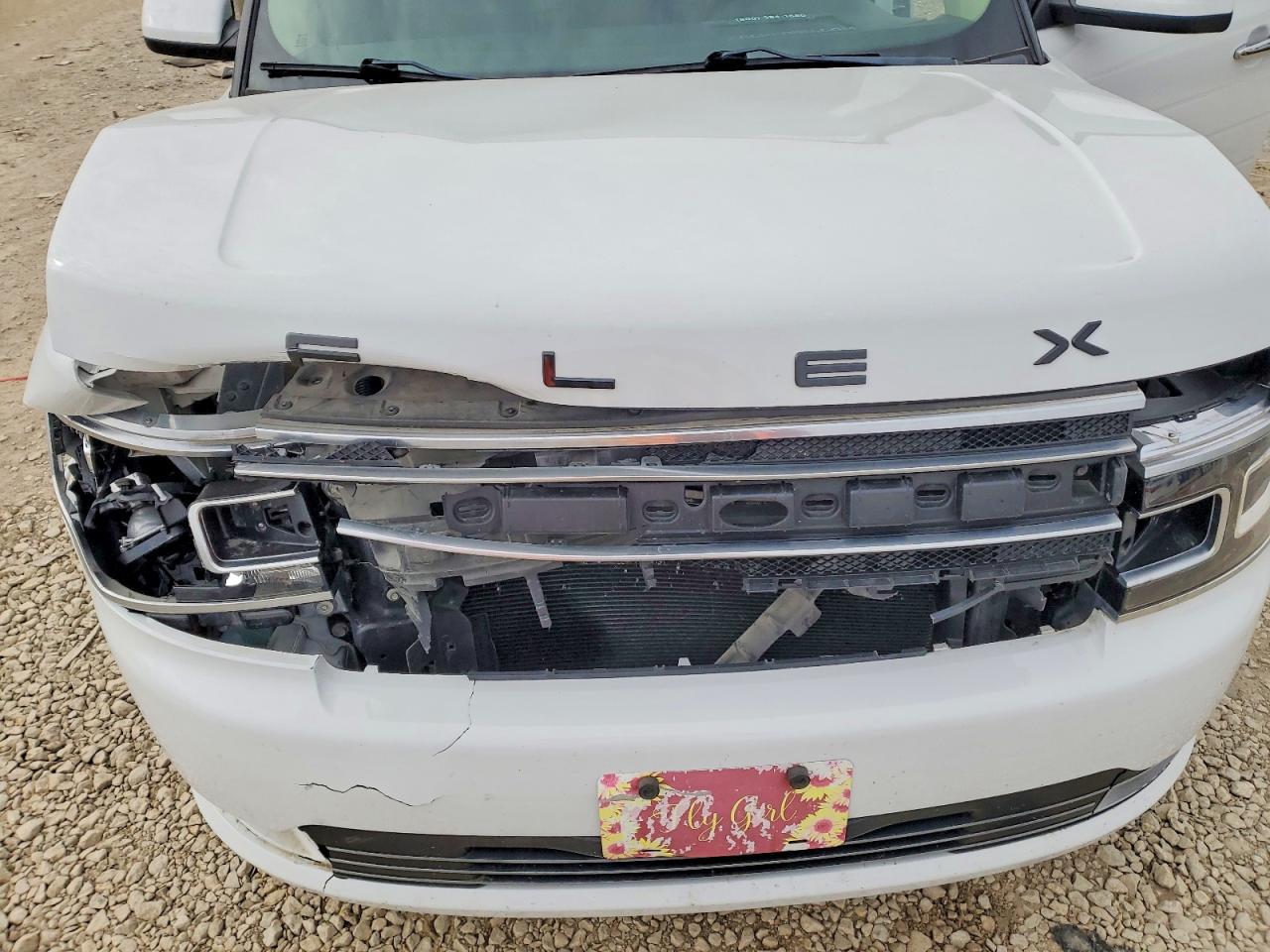 2019 Ford Flex Limited - zdjęcie 12
