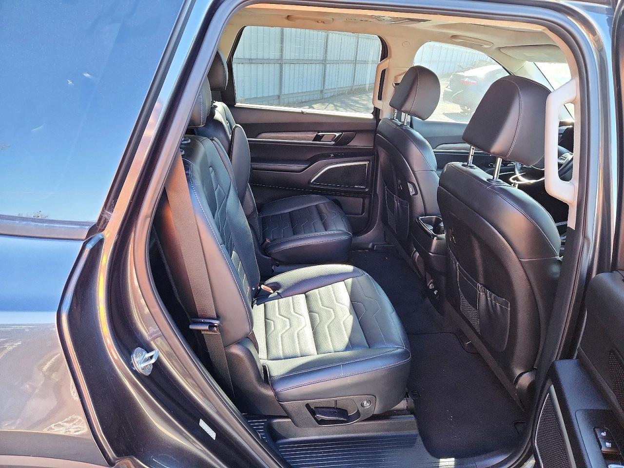 2022 Kia Telluride Sx - zdjęcie 19