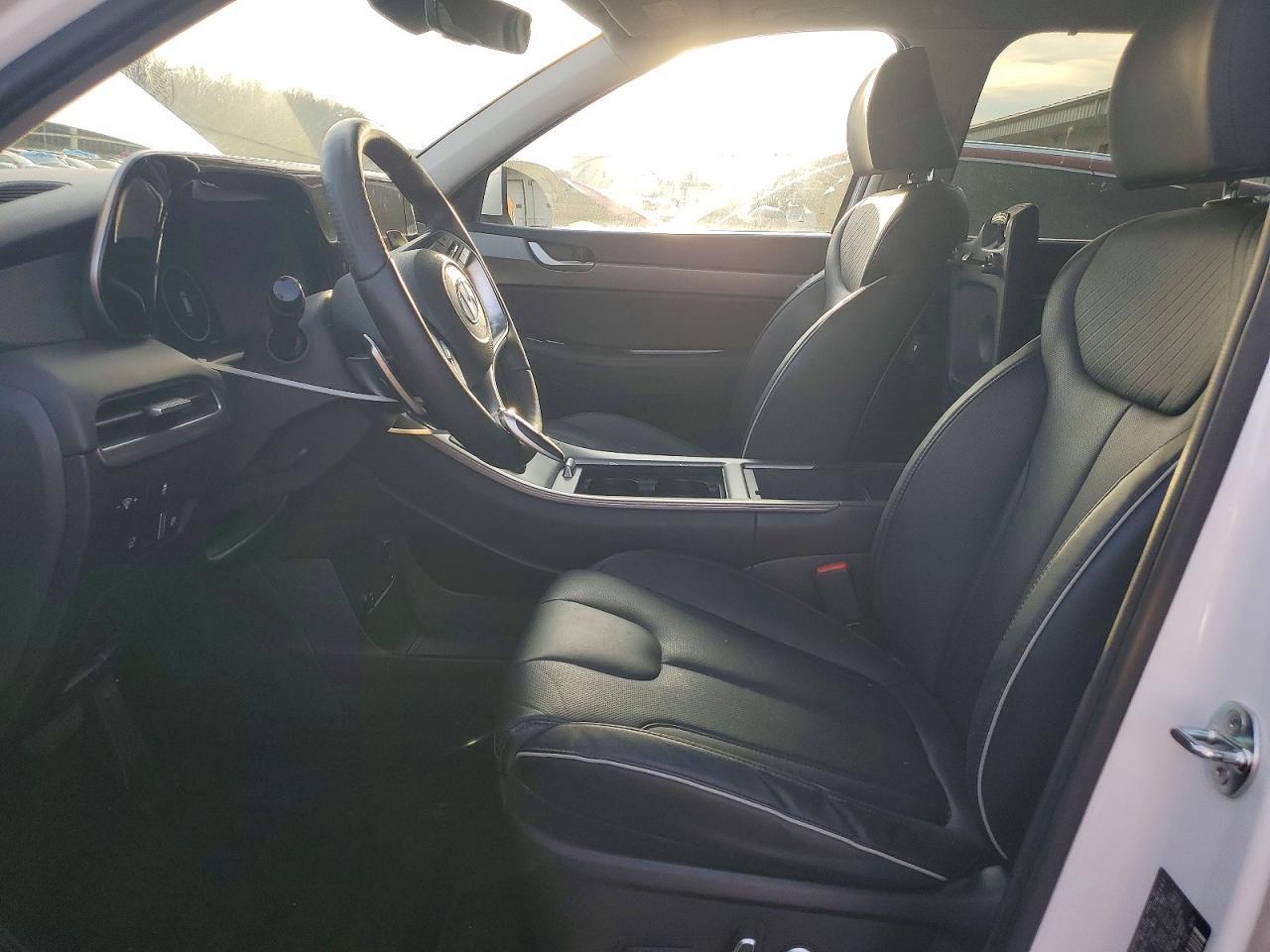 2024 Hyundai Palisade Sel Premium - zdjęcie 7