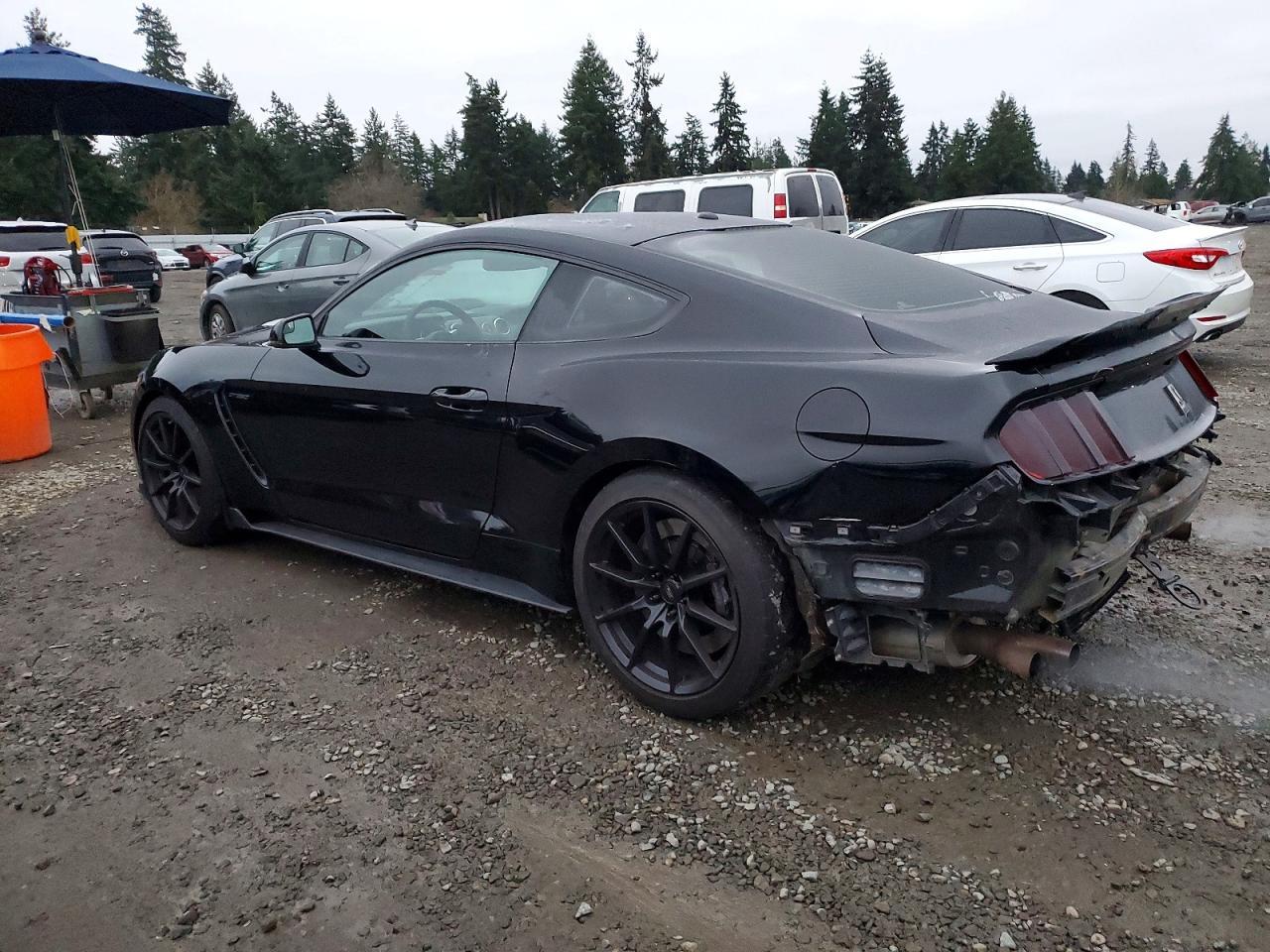 2017 Ford Mustang Shelby Gt350 - zdjęcie 2
