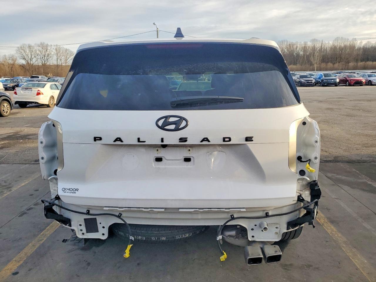 2024 Hyundai Palisade Sel Premium - zdjęcie 6