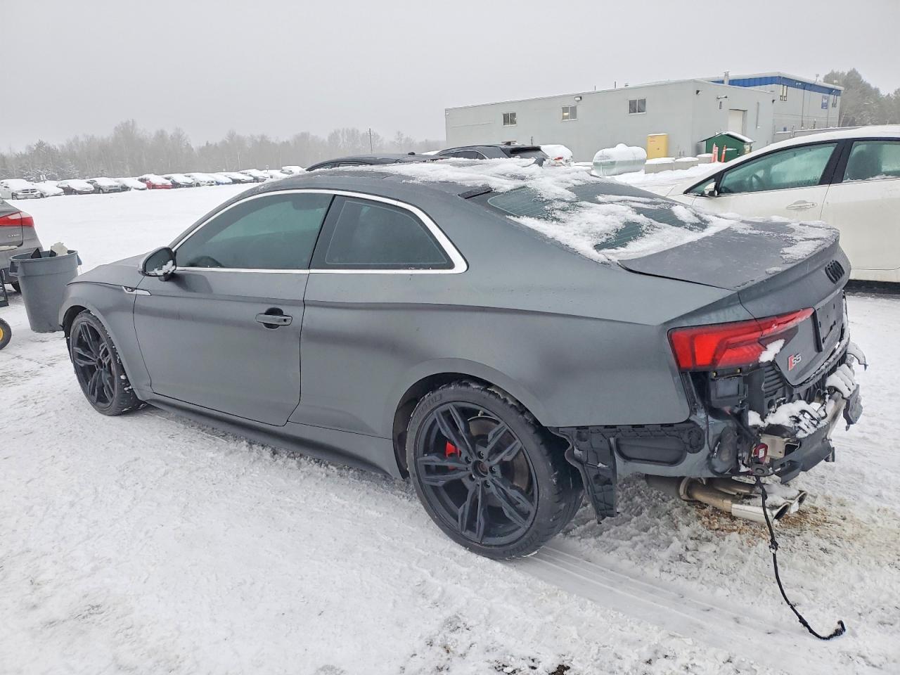 2019 Audi S5 Prestige - zdjęcie 2