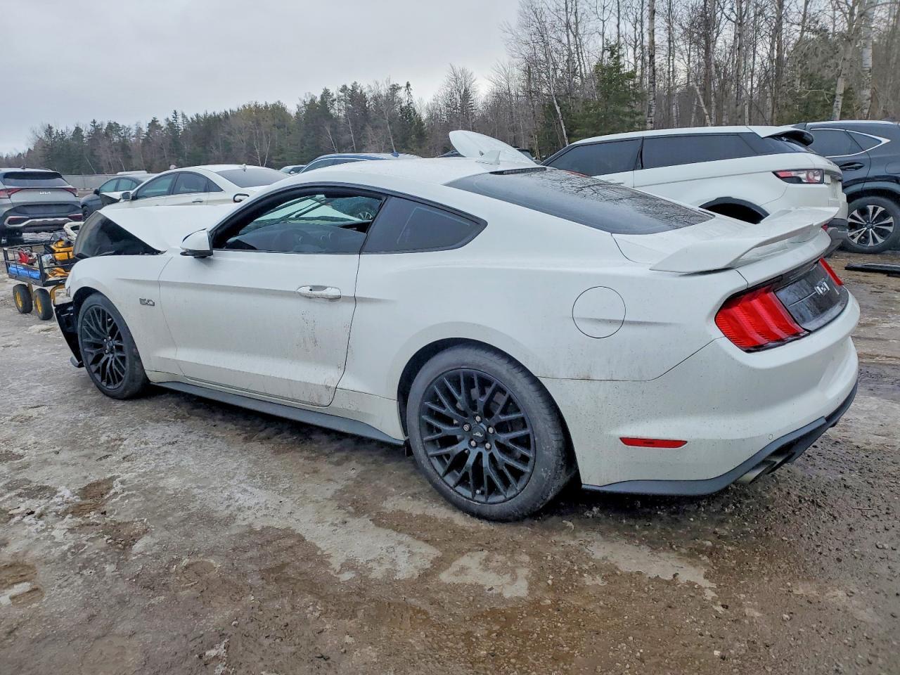 2022 Ford Mustang Gt - zdjęcie 2