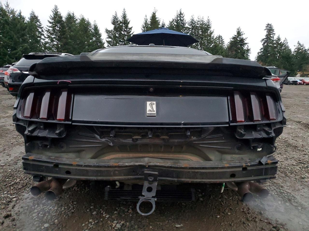 2017 Ford Mustang Shelby Gt350 - zdjęcie 6