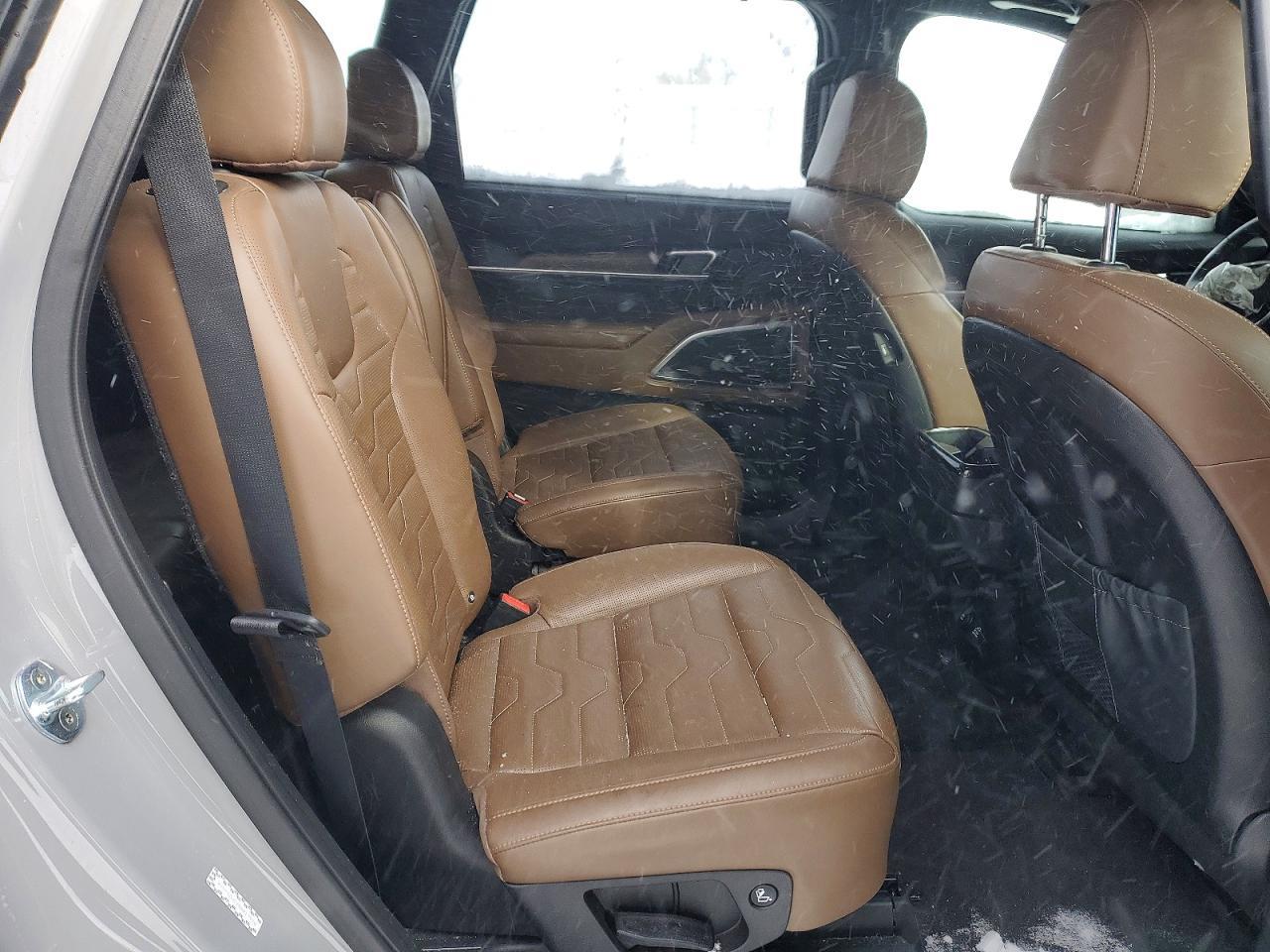 2022 Kia Telluride Sx - zdjęcie 11