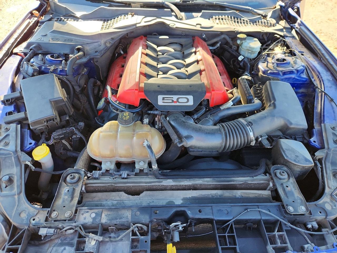 2015 Ford Mustang Gt - zdjęcie 11