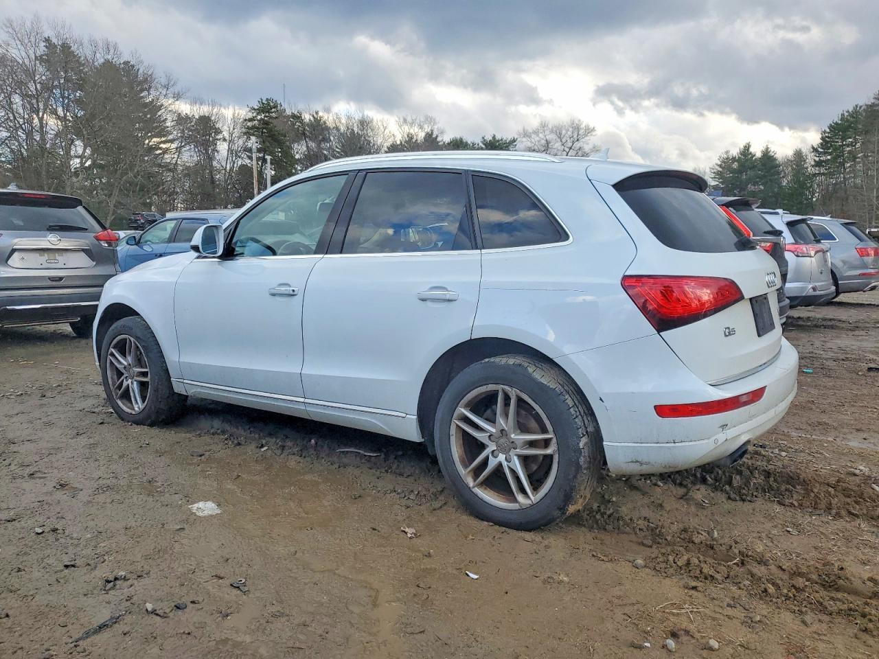 Audi Q5 - zdjęcie 2