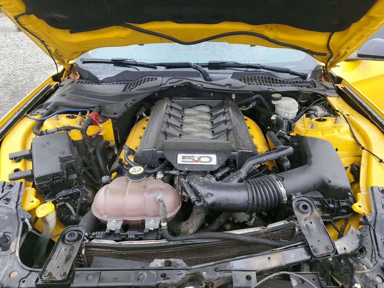 2016 Ford Mustang Gt - zdjęcie 11