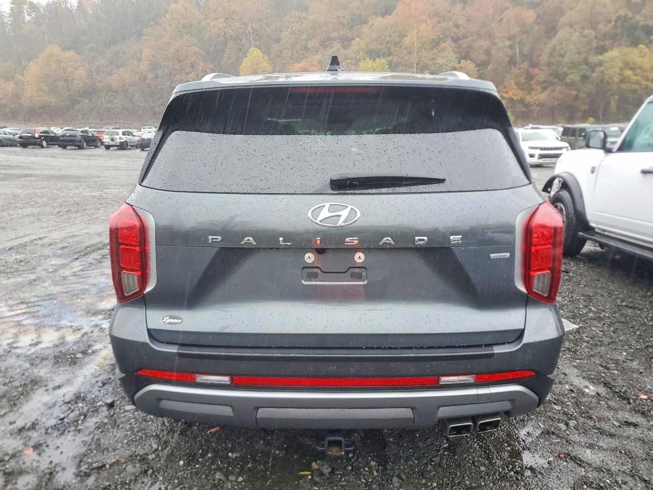 2023 Hyundai Palisade Limited - zdjęcie 6