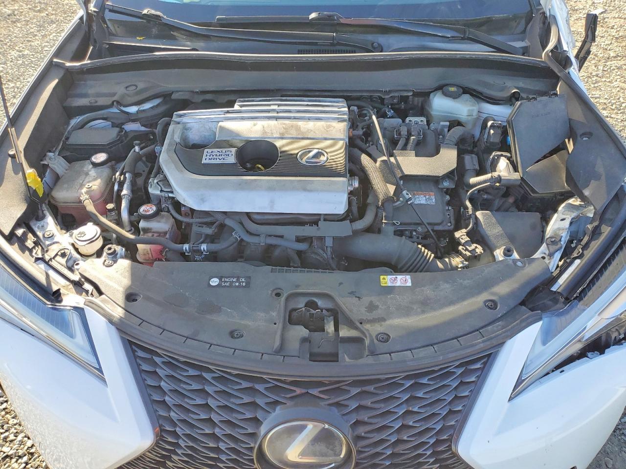 2019 Lexus Ux 250H - zdjęcie 11