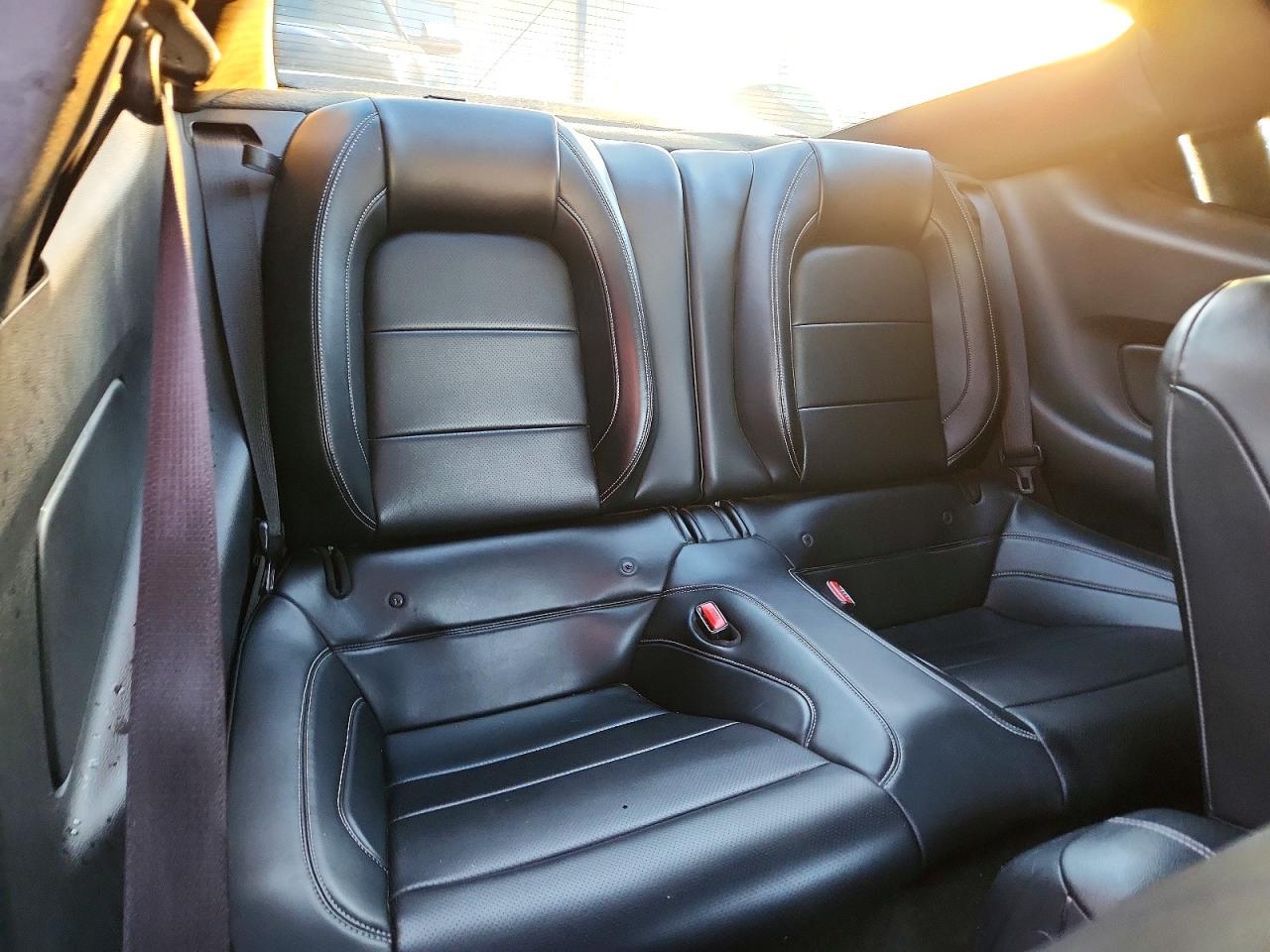 2015 Ford Mustang Gt - zdjęcie 10