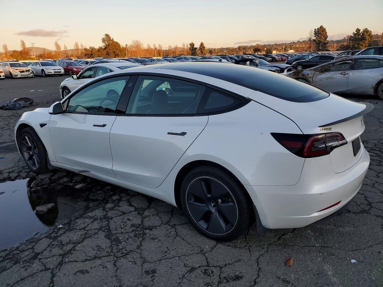 2021 Tesla Model 3 - zdjęcie 2