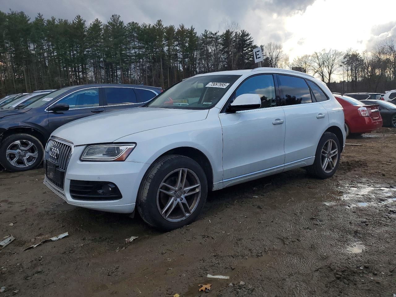 Audi Q5 - zdjęcie 1