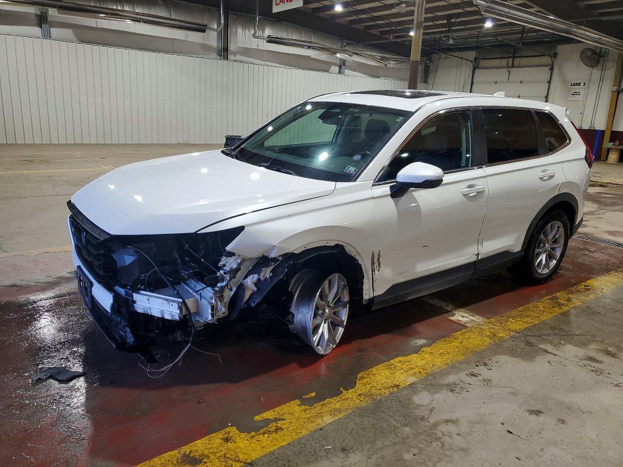 2023 Honda Cr-V Exl - zdjęcie główne