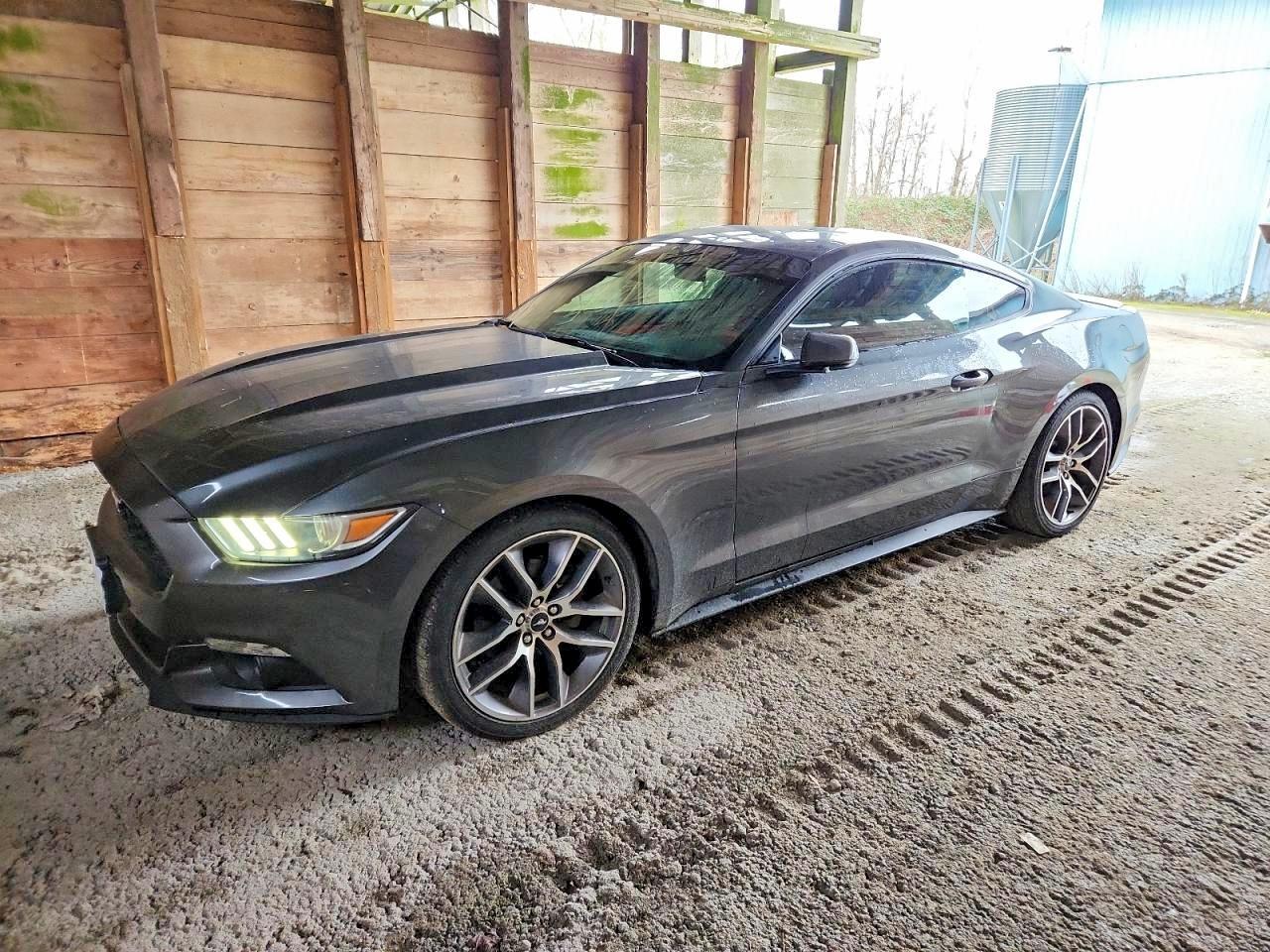 2017 Ford Mustang - zdjęcie główne