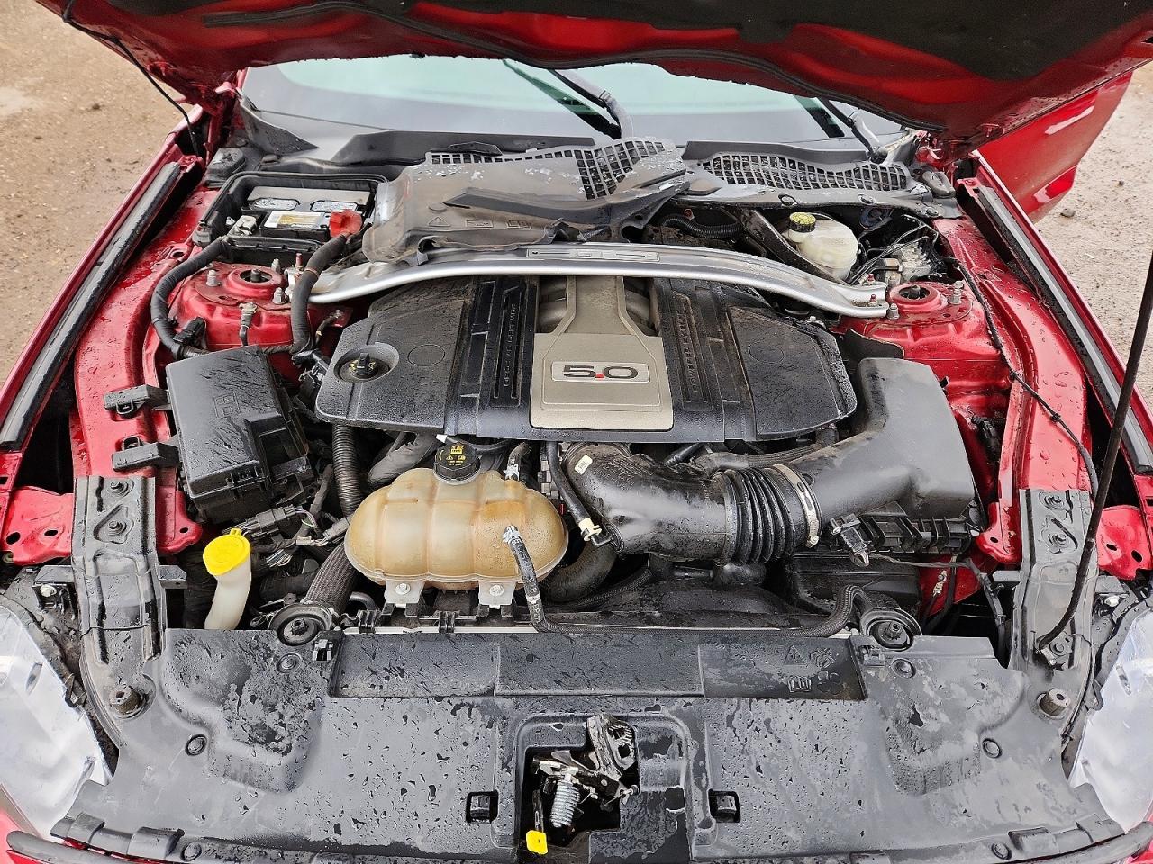 2018 Ford Mustang Gt - zdjęcie 11