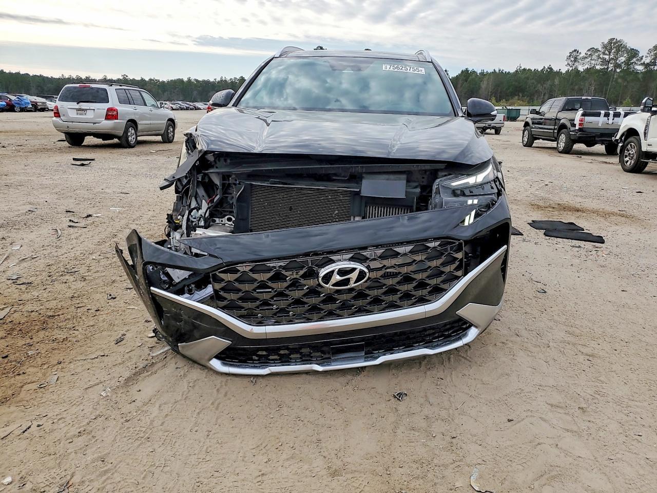 2023 Hyundai Santa Fe Calligraphy - zdjęcie 5