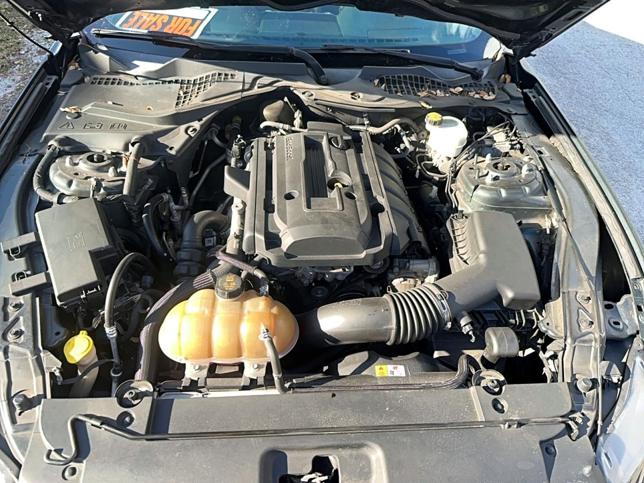 2015 Ford Mustang - zdjęcie 7