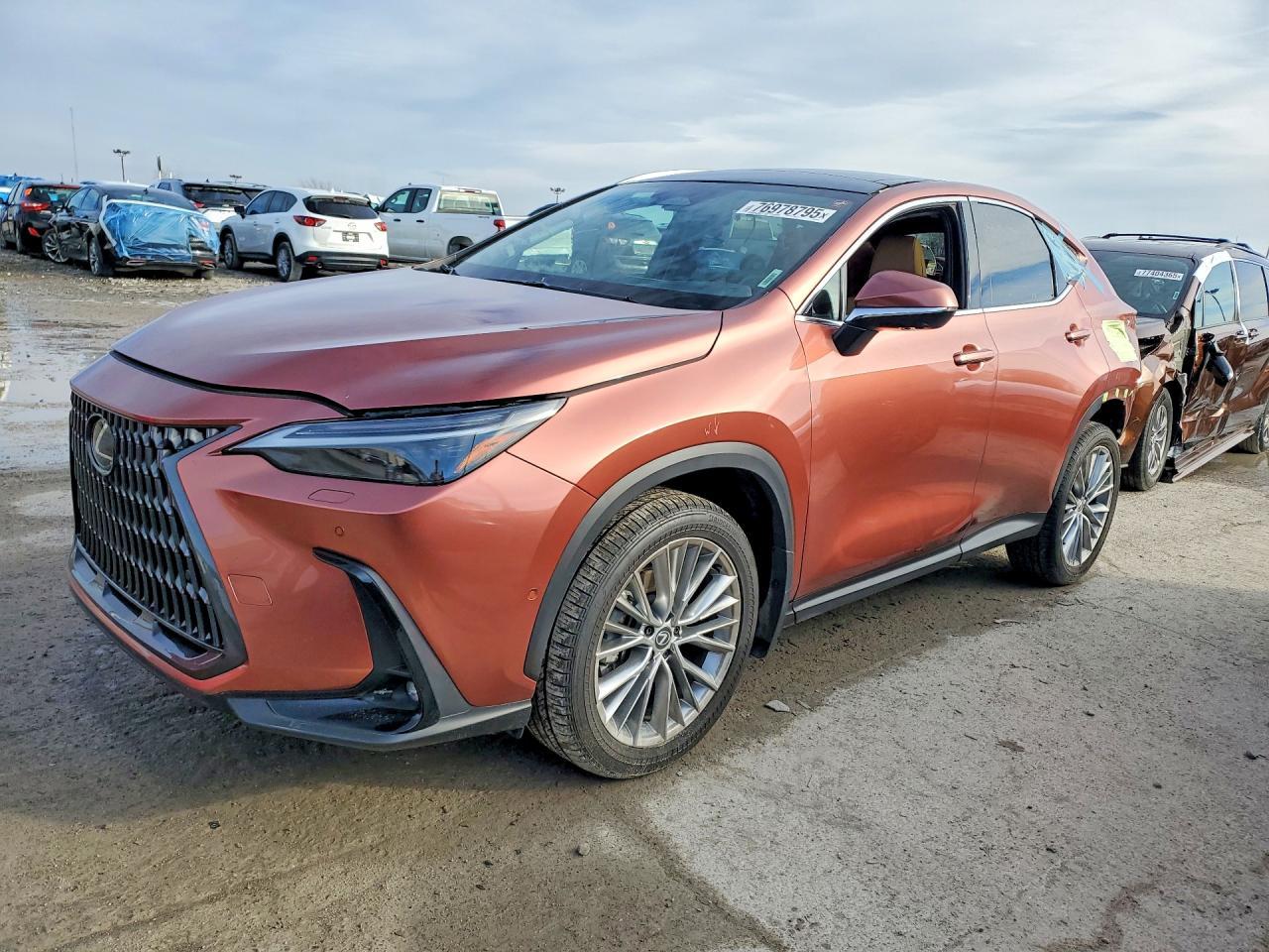 2025 Lexus Nx 350 Luxury - zdjęcie główne