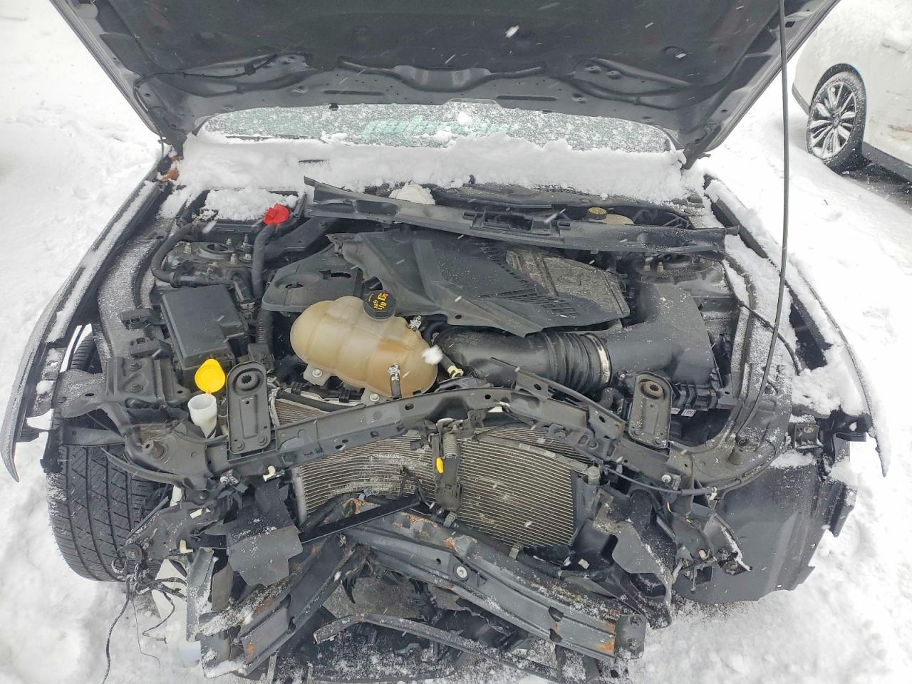 2019 Ford Mustang Gt - zdjęcie 11