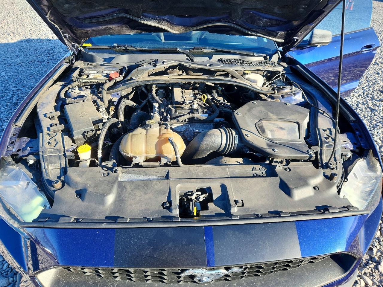 2019 Ford Mustang - zdjęcie 11