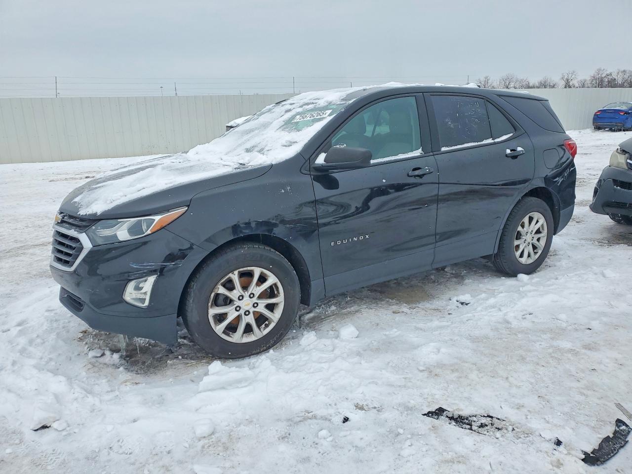2019 Chevrolet Equinox Ls - zdjęcie główne