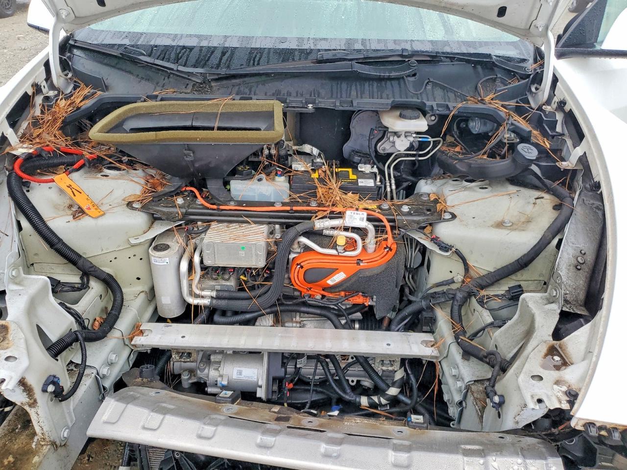 2021 Tesla Model Y - zdjęcie 11