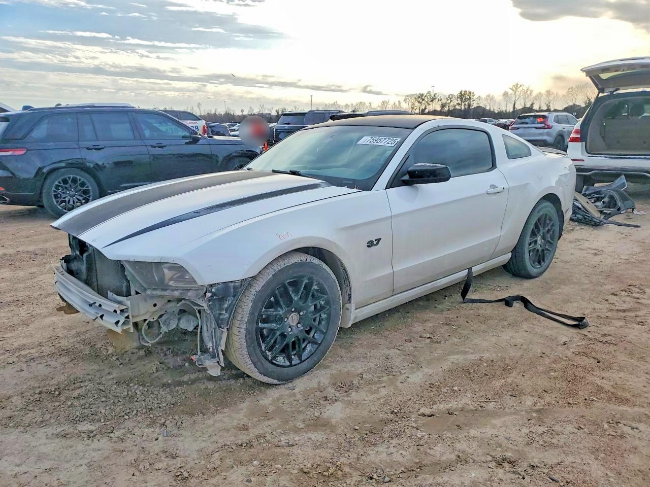 2014 Ford Mustang - zdjęcie główne