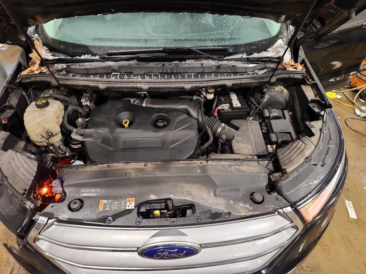 2015 Ford Edge Sel - zdjęcie 11