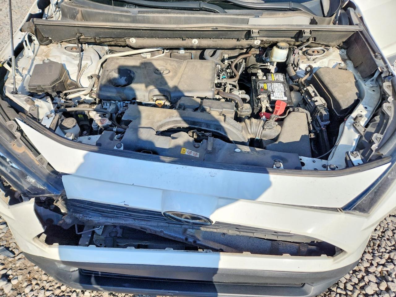 2019 Toyota Rav4 Le - zdjęcie 12