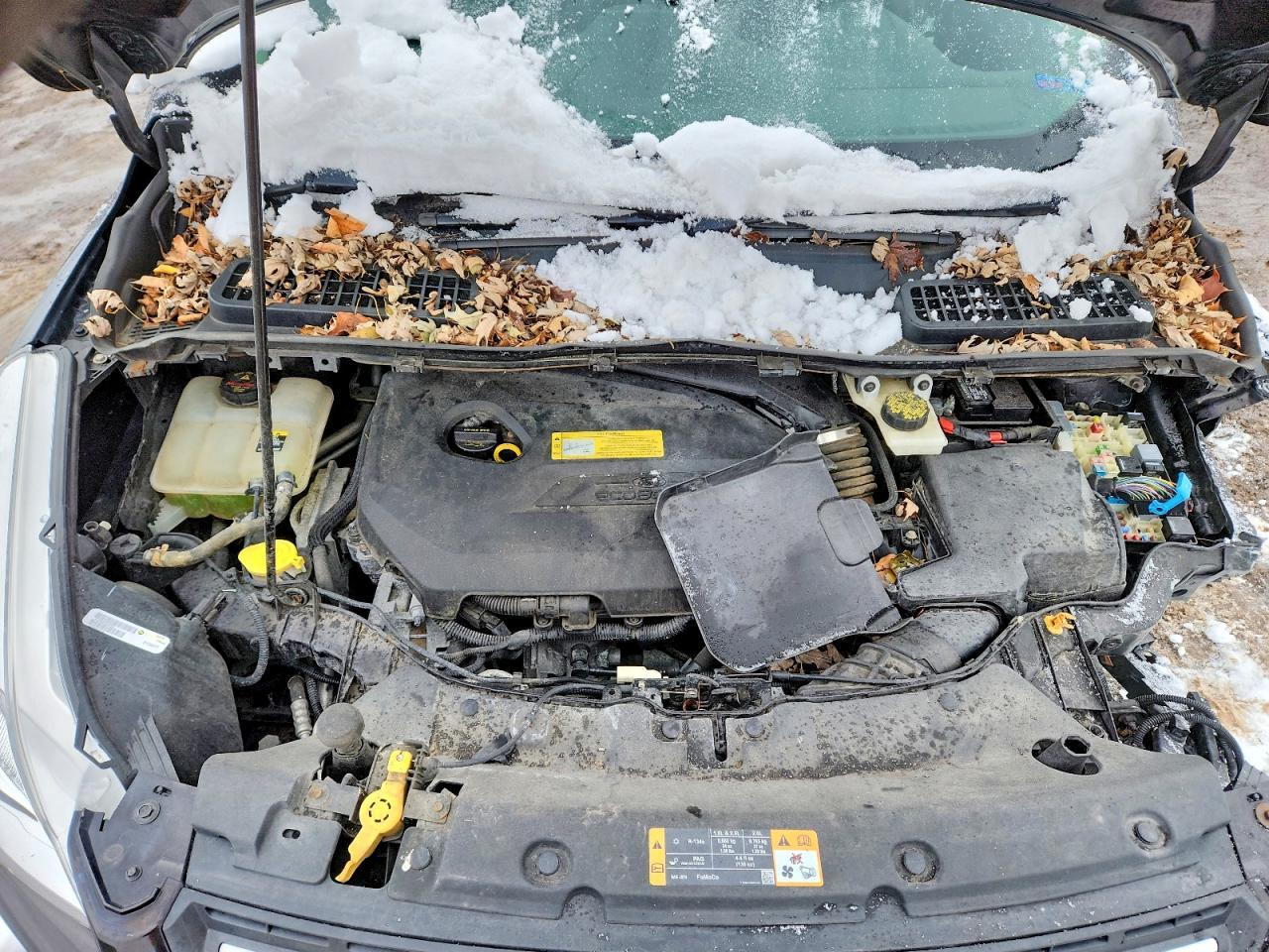 2013 Ford Escape Se - zdjęcie 12