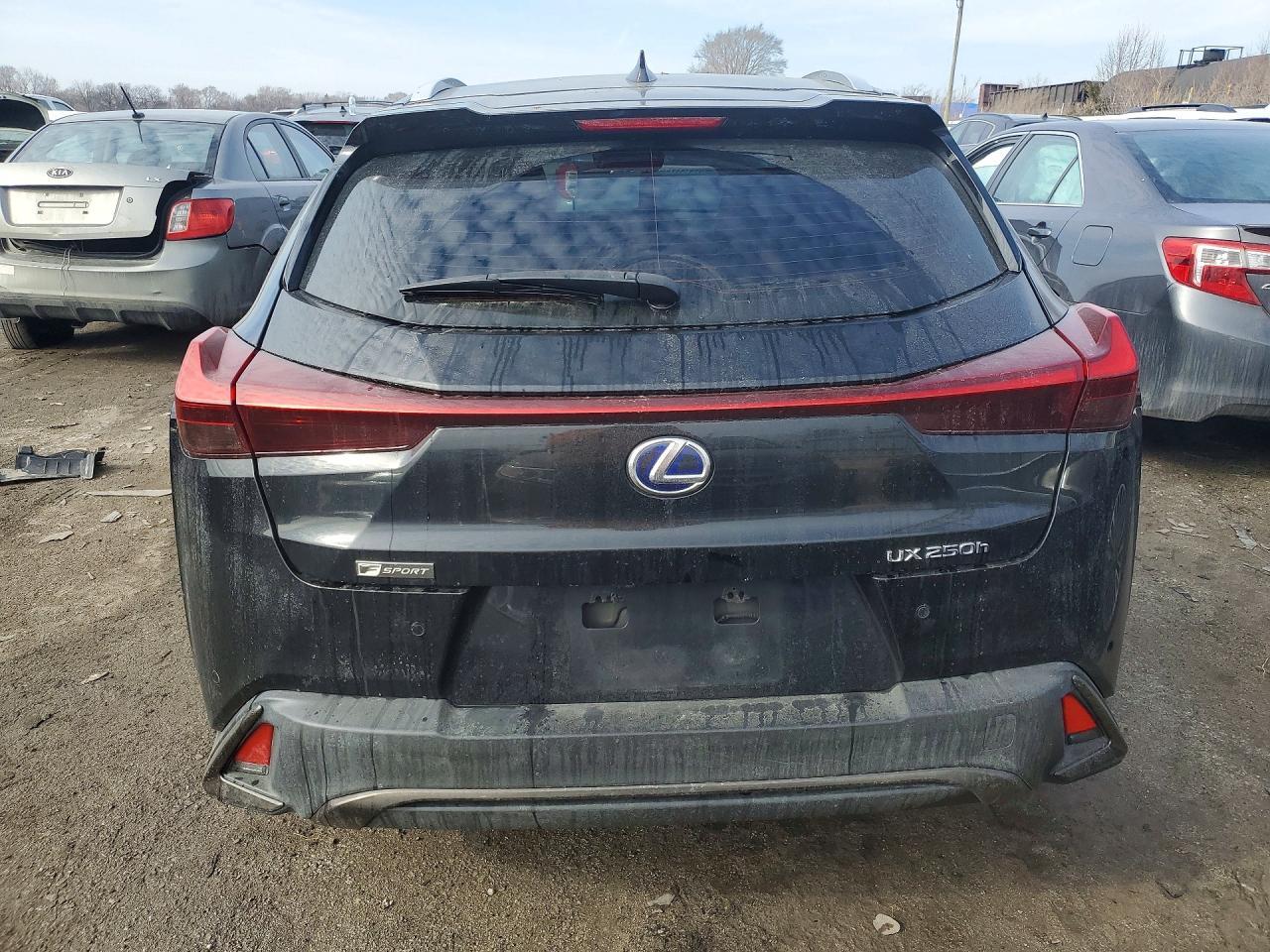2019 Lexus Ux 250H - zdjęcie 6