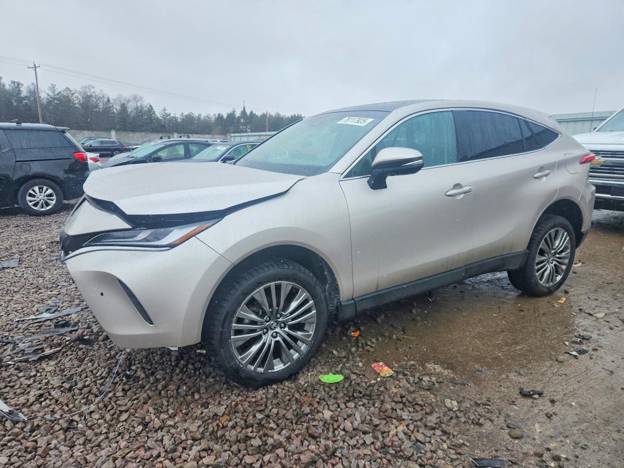 2024 Toyota Venza Limited - zdjęcie główne