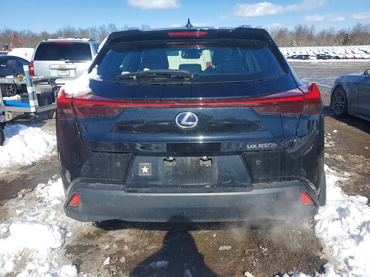 2020 Lexus Ux 250H Base - zdjęcie 6