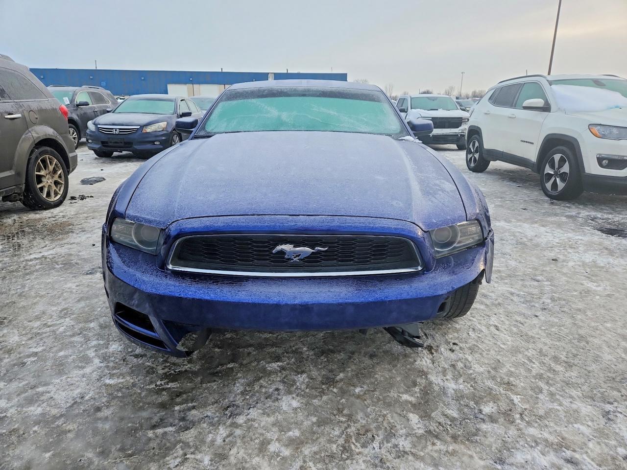 2014 Ford Mustang - zdjęcie 5