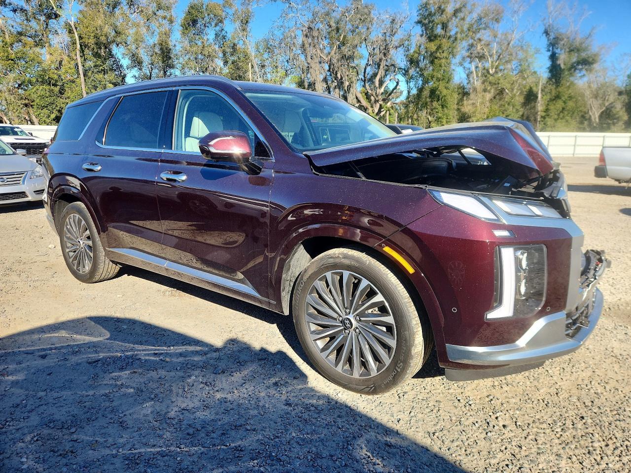 2024 Hyundai Palisade Calligraphy - zdjęcie 4