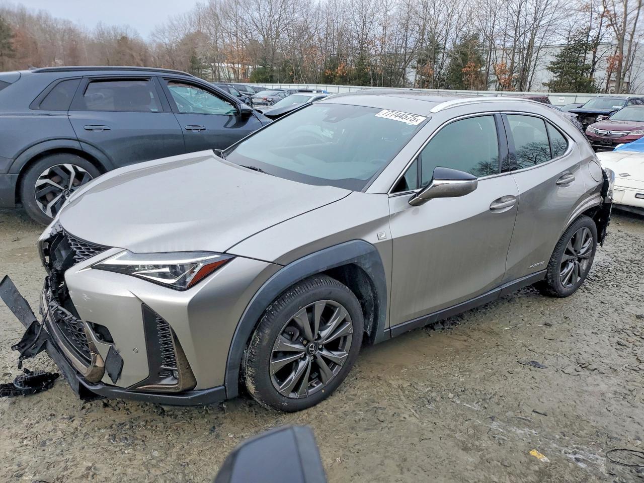 2019 Lexus Ux 250H F Sport - zdjęcie główne