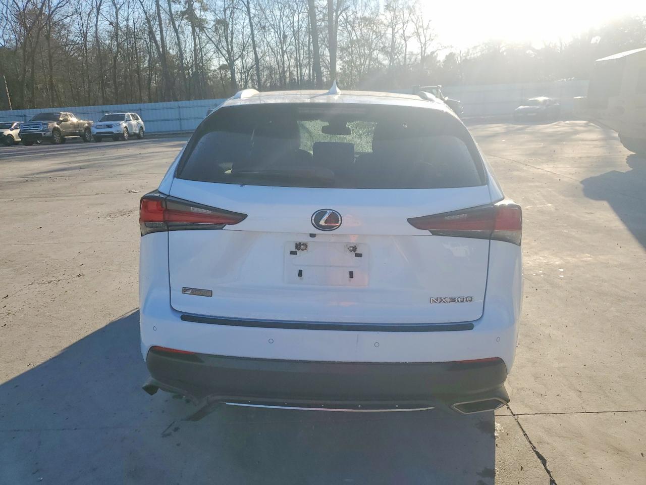 2020 Lexus Nx 300 F Sport - zdjęcie 6