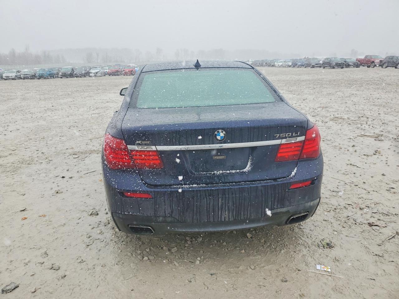 2014 BMW 750 Lxi - zdjęcie 6