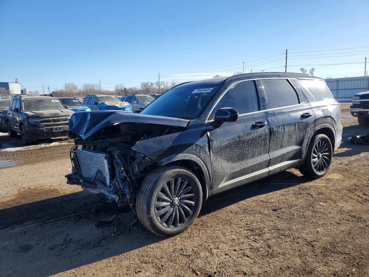 2025 Hyundai Palisade Calligraphy Night Edition - zdjęcie główne