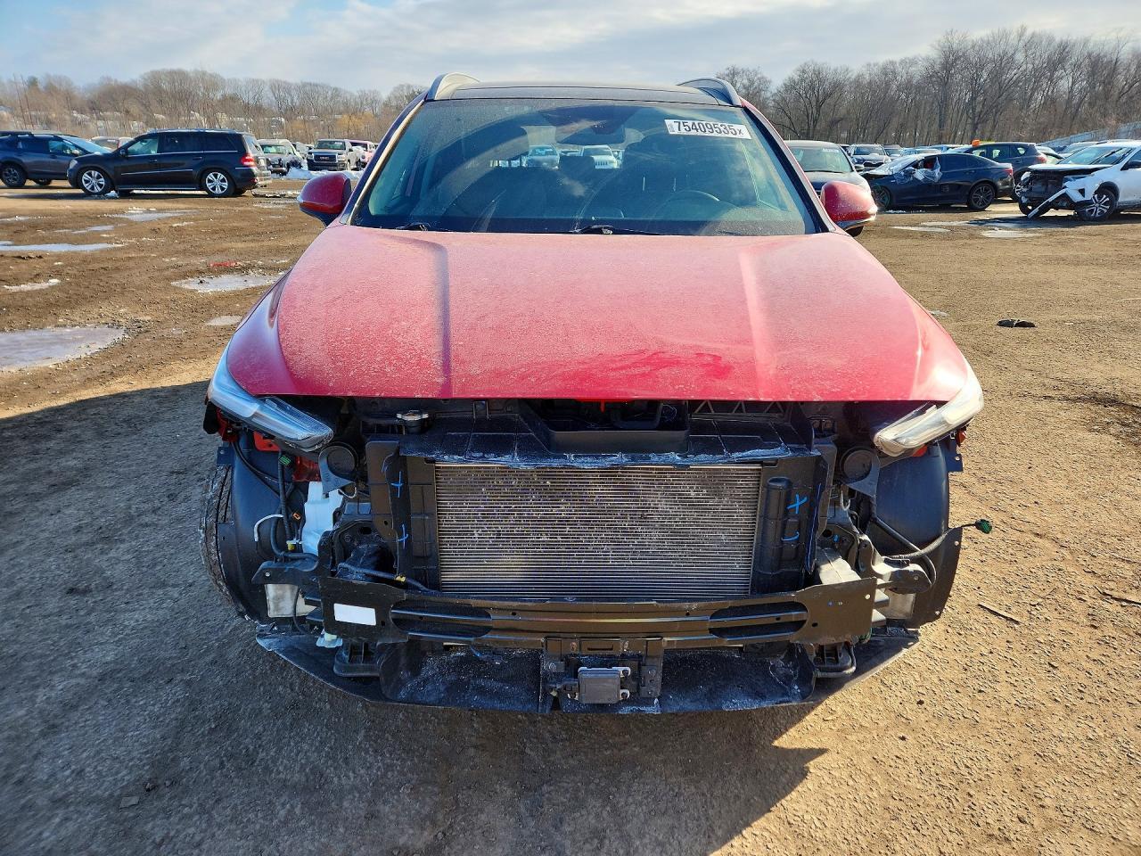 2020 Hyundai Santa Fe Sel - zdjęcie 5