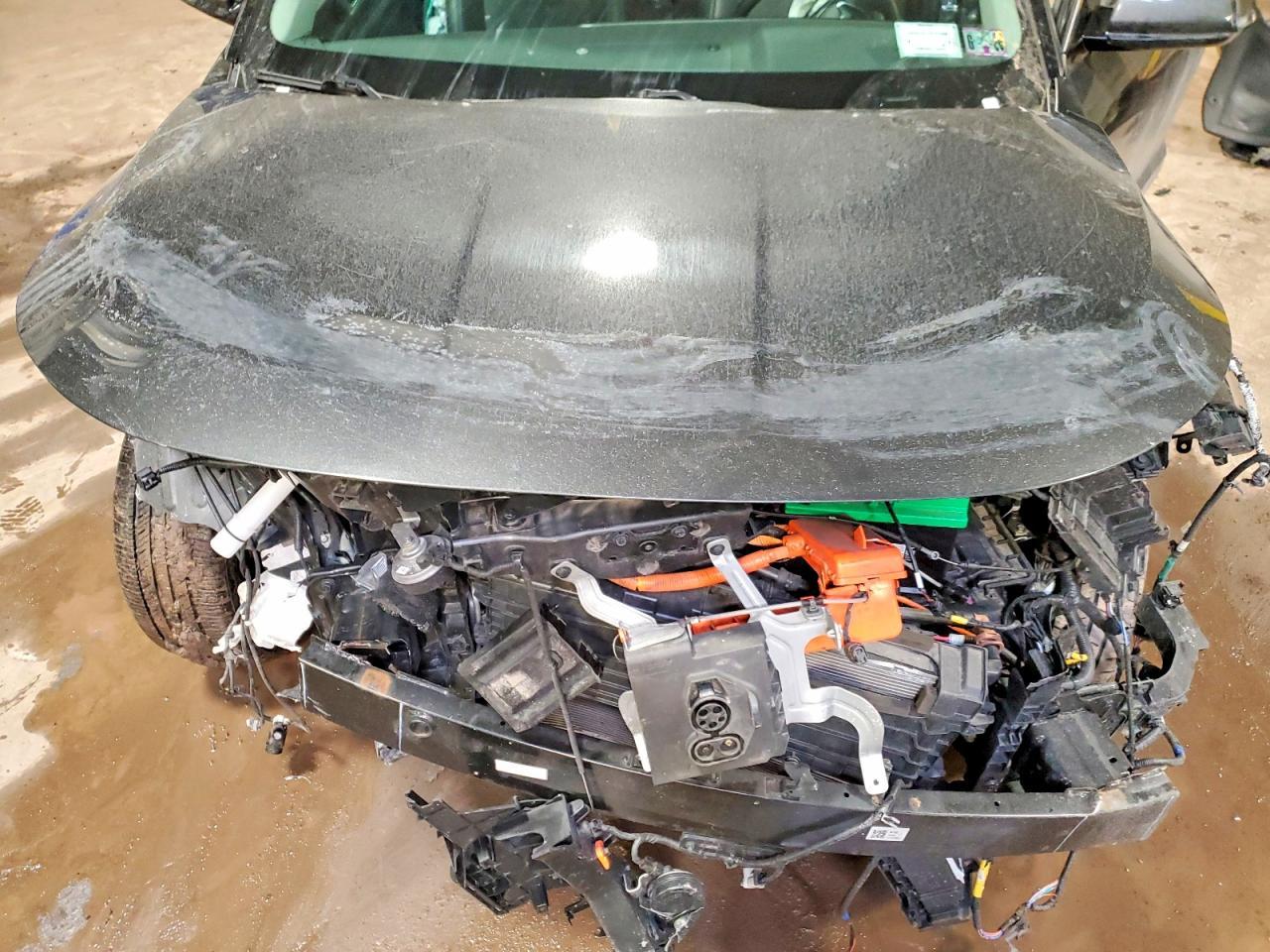 2023 Kia Niro Ev - zdjęcie 12