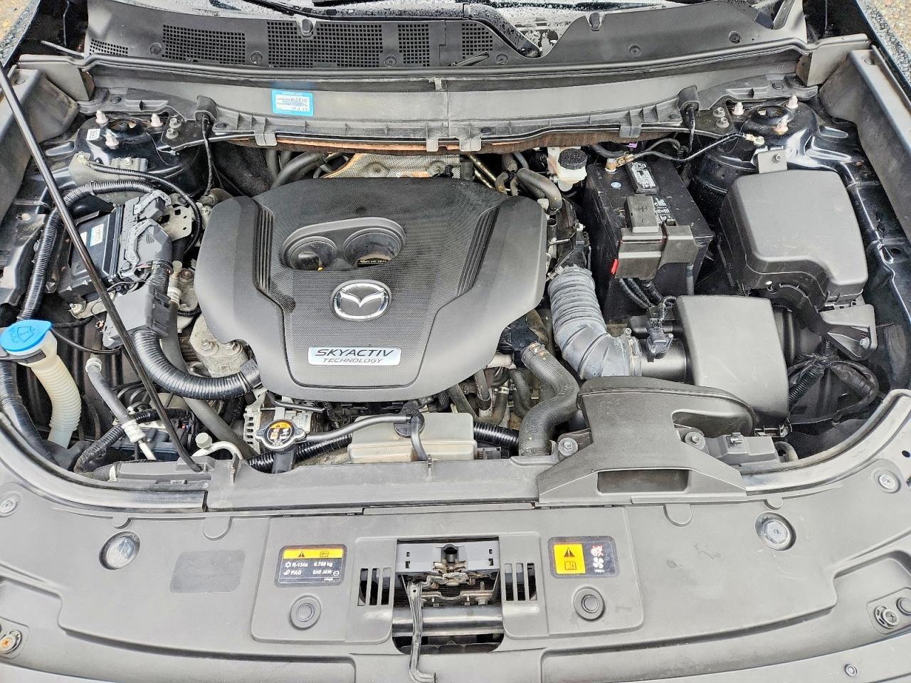 2016 Mazda Cx-9 Touring - zdjęcie 12