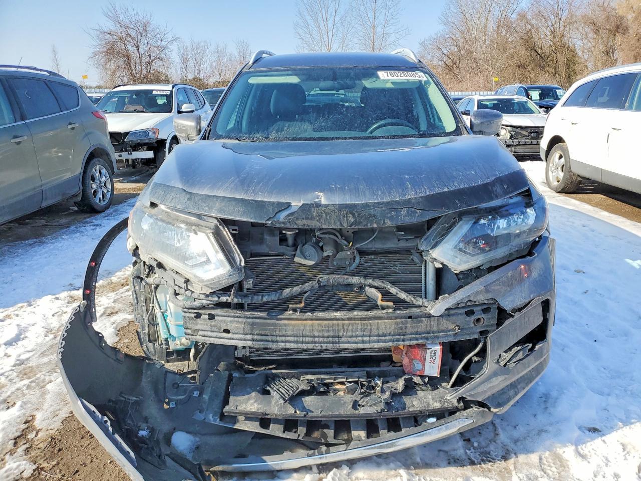 2017 Niss Rogue - zdjęcie 5