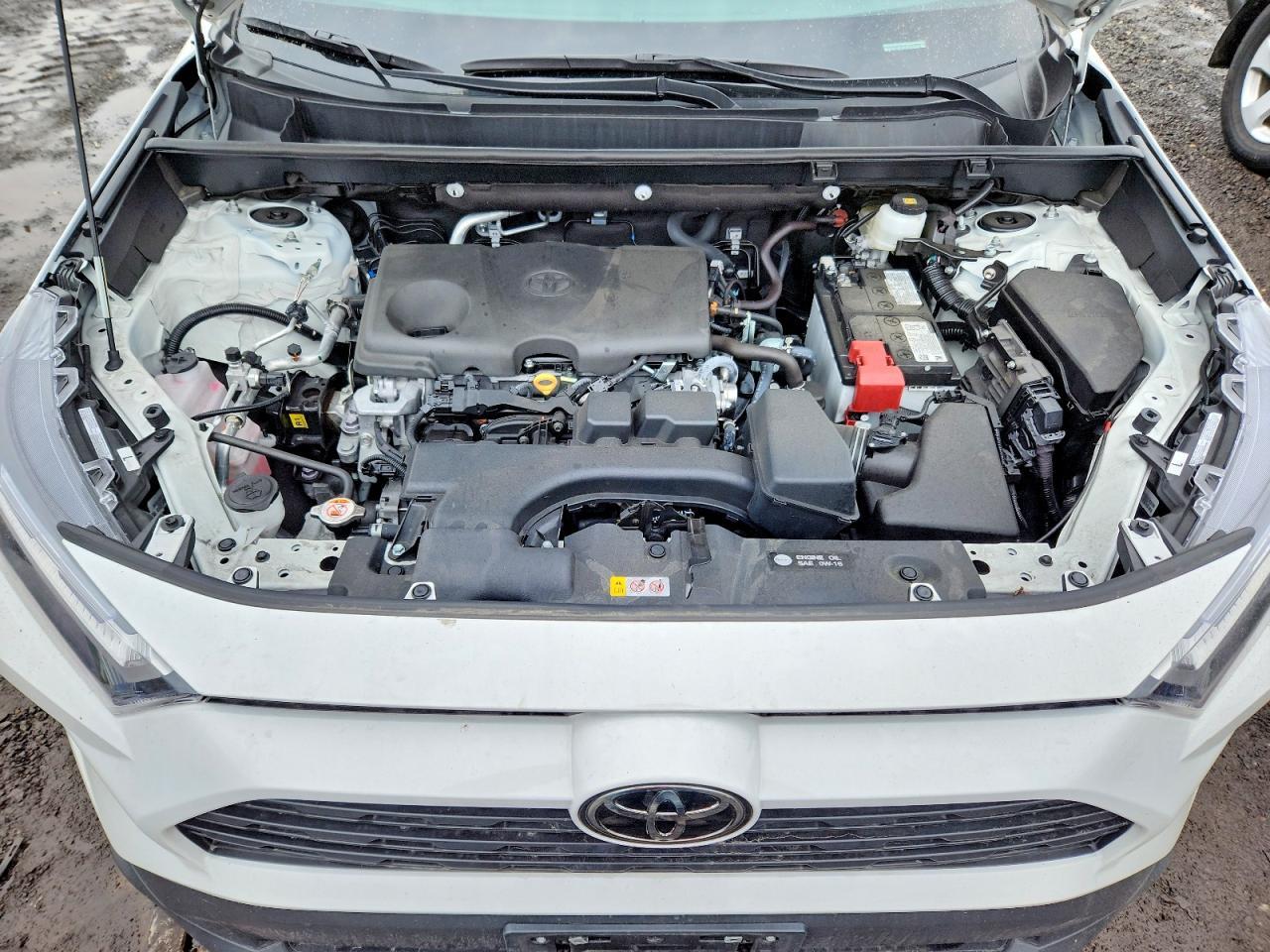 2025 Toyota Rav4 Le - zdjęcie 12