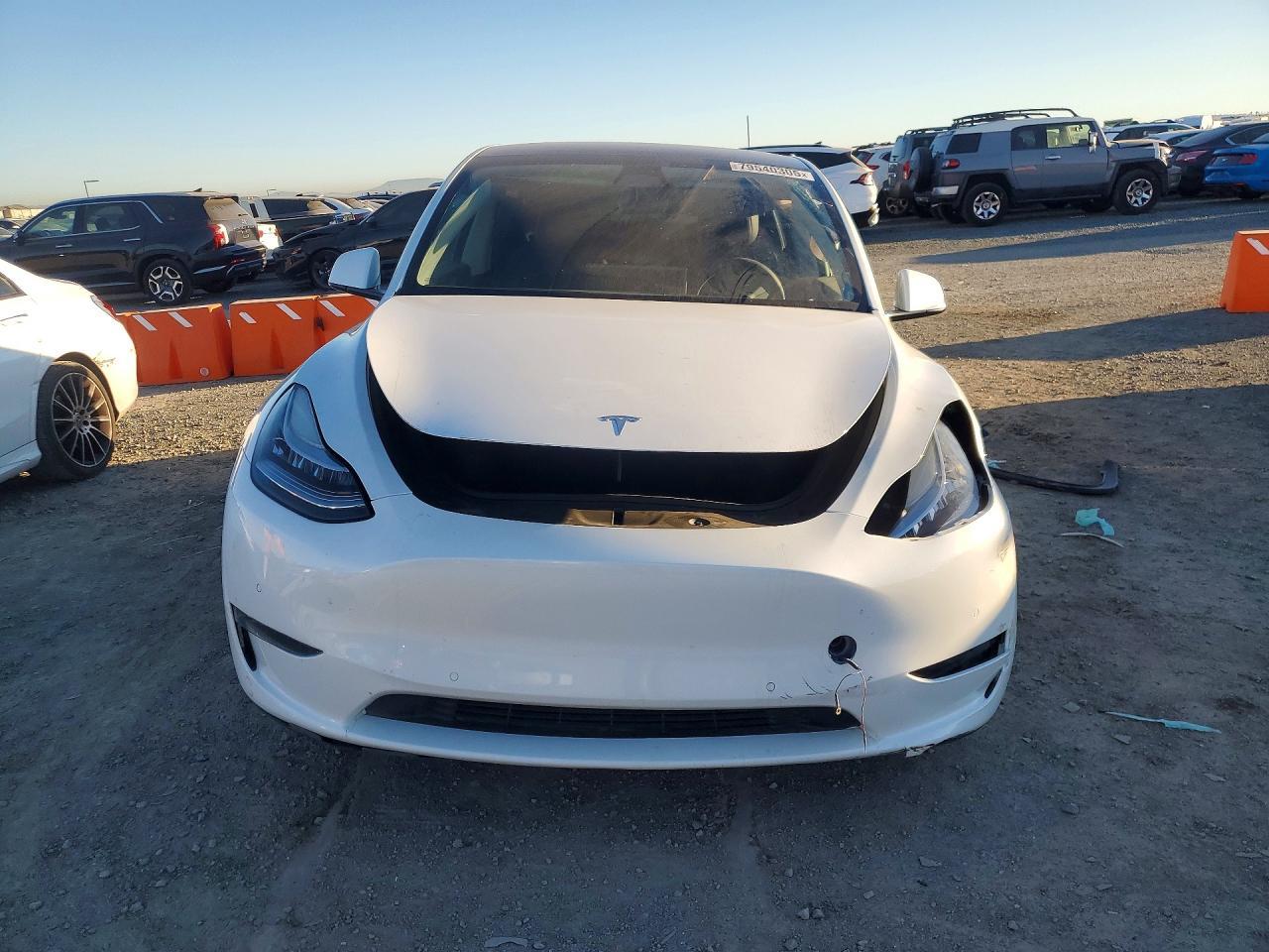2021 Tesla Model Y - zdjęcie 5