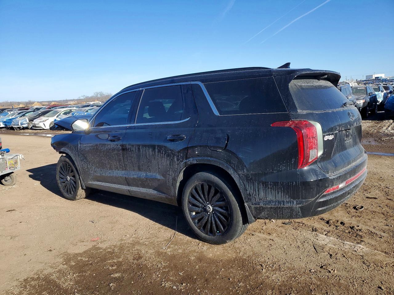 2025 Hyundai Palisade Calligraphy Night Edition - zdjęcie 2