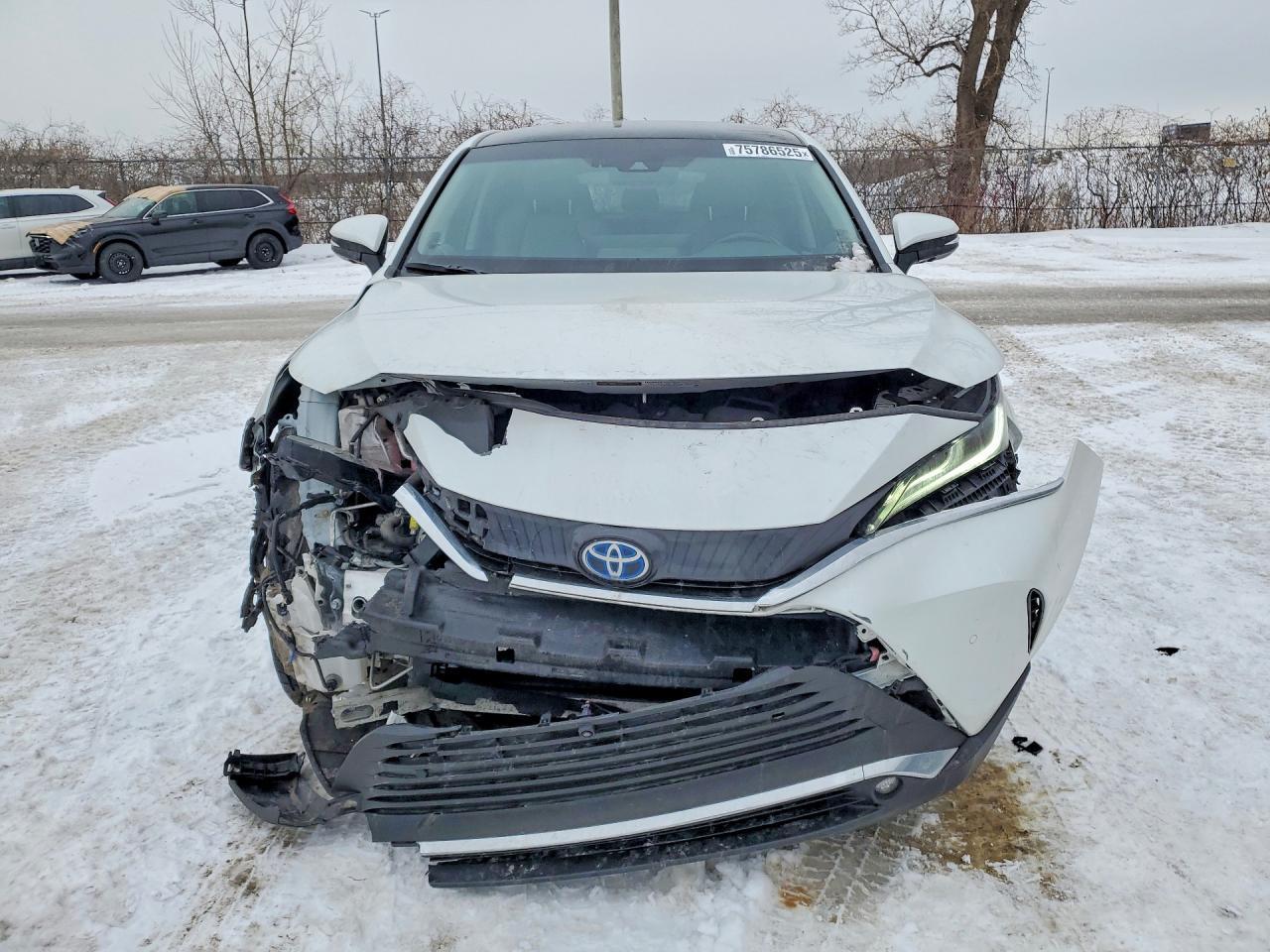 2024 Toyota Venza Le - zdjęcie 5