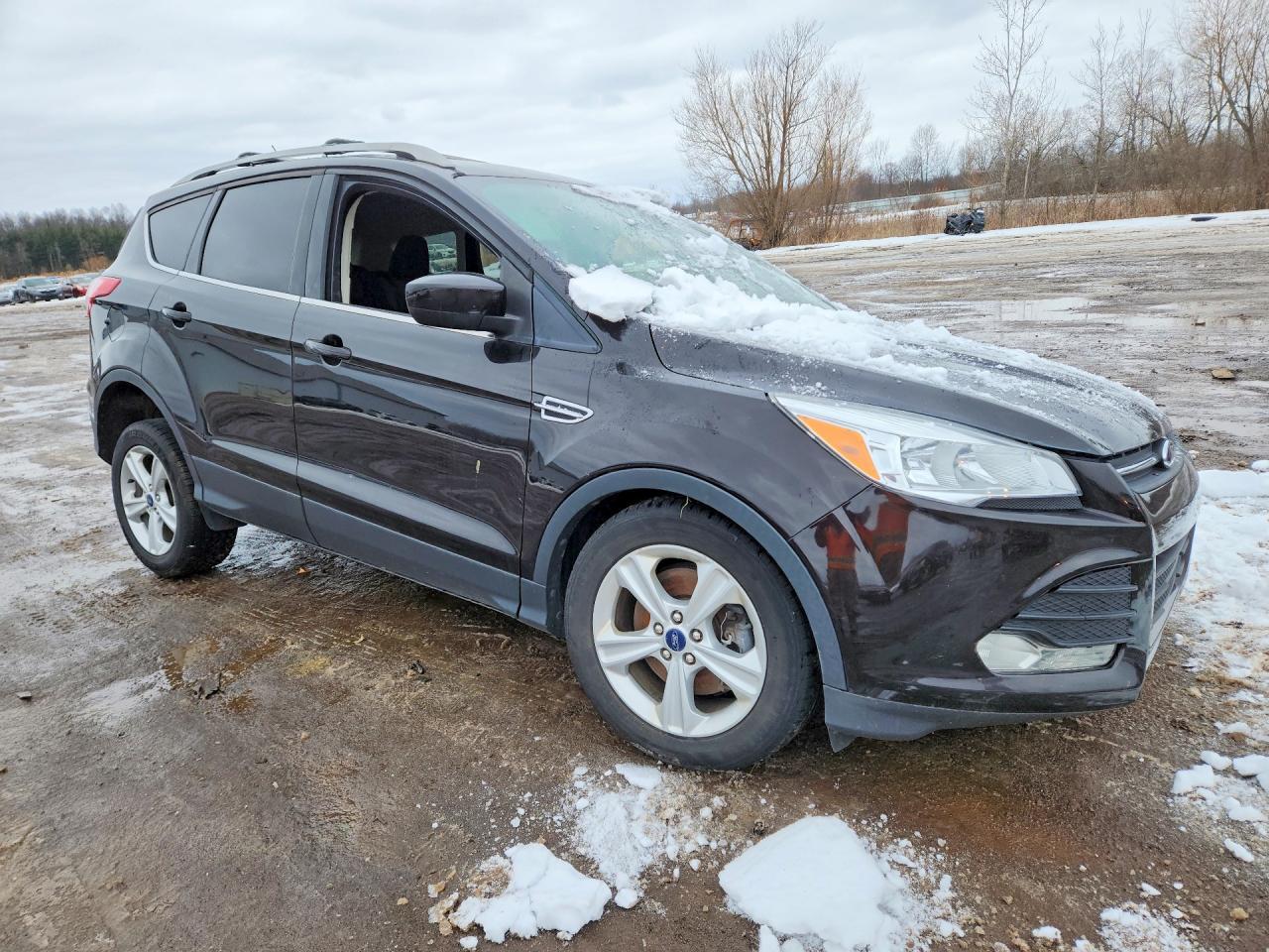 2013 Ford Escape Se - zdjęcie 4